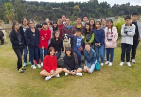 Lincoln Group By Kiwi Centre Thailand