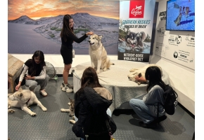 Antarctic  Centre1
